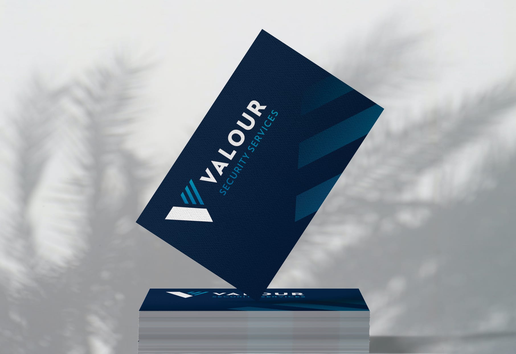 Valour Security Services